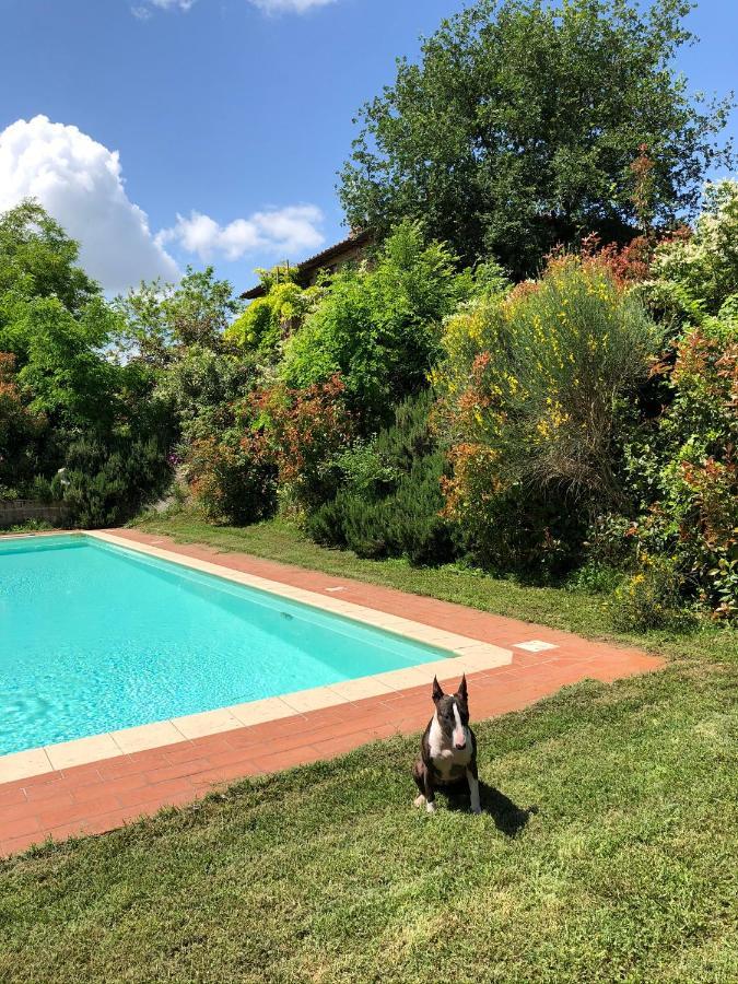 Penzion Al Giardino Degli Etruschi Chiusi Exteriér fotografie